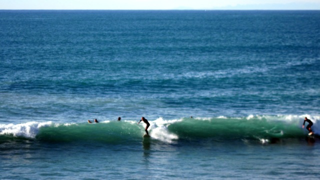 surf-levanto.jpg